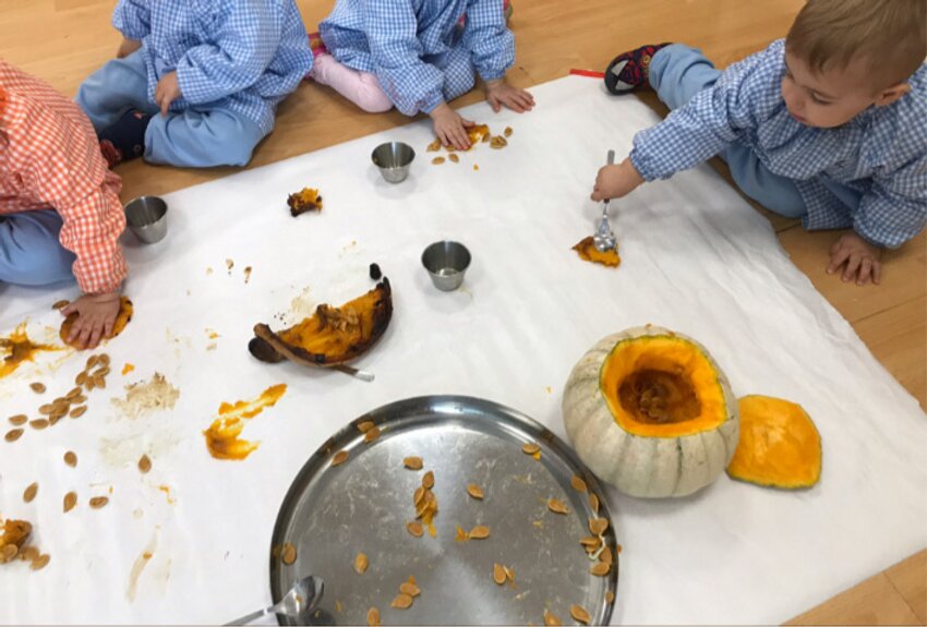 055810_f9cd0f09ffaf4837804ad73b515fef35_mv2